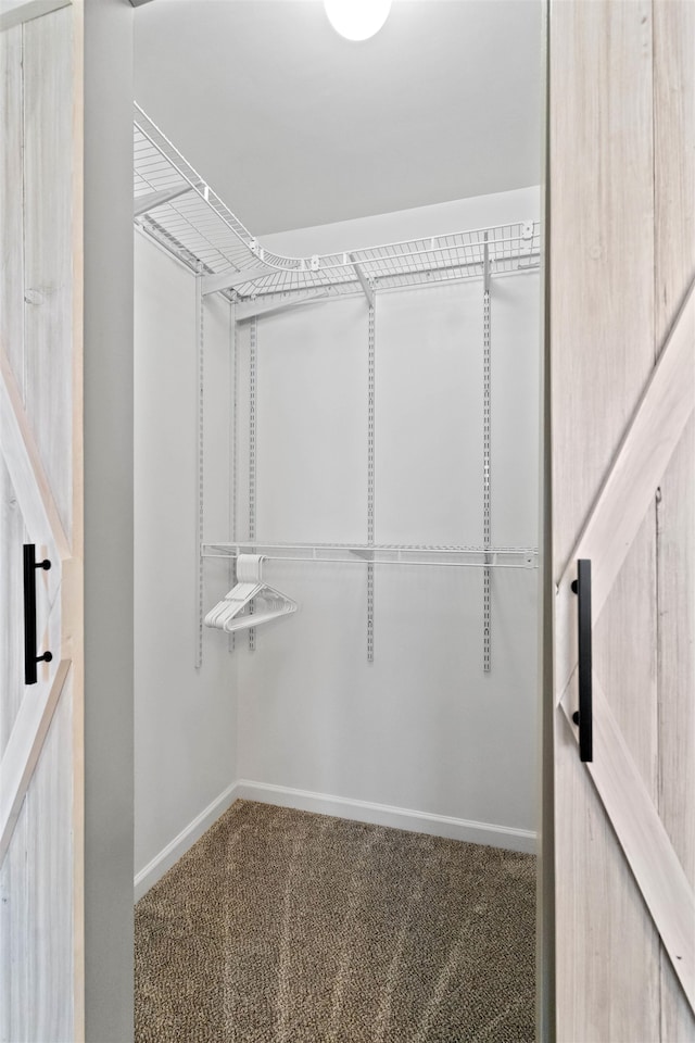 walk in closet featuring carpet flooring