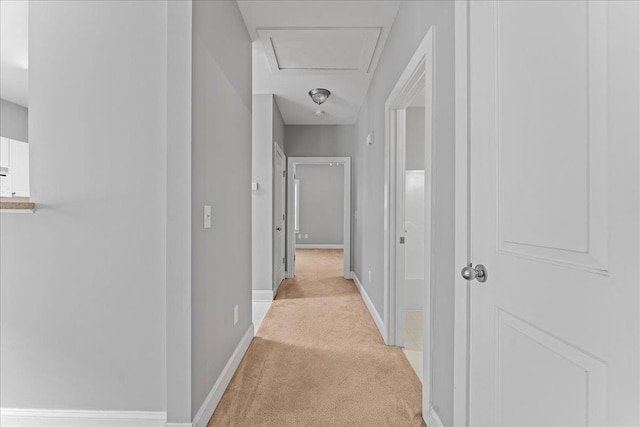 corridor featuring light colored carpet