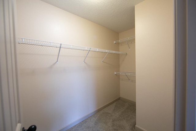 walk in closet featuring carpet