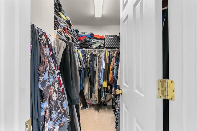 spacious closet with carpet