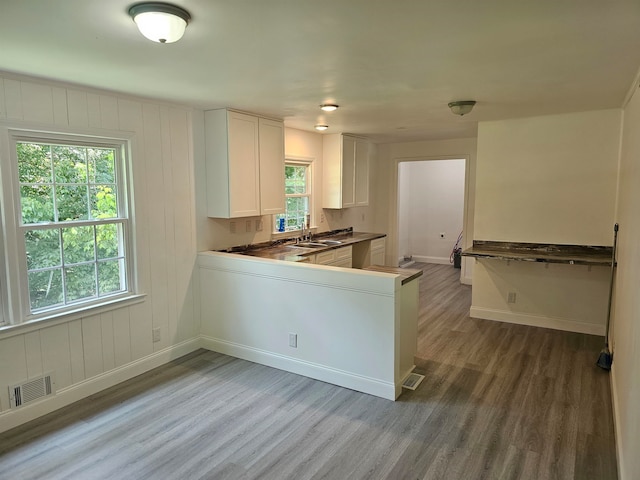 kitchen with sink, white cabinetry, wood-type flooring, and plenty of natural light