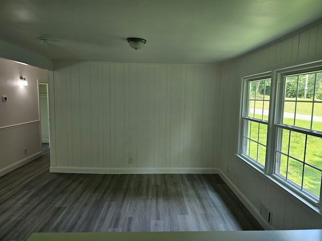 unfurnished room featuring wood walls and wood-type flooring