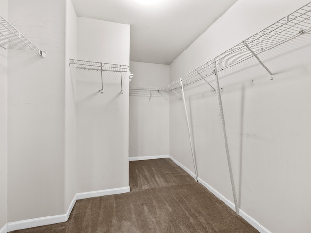 walk in closet featuring dark colored carpet