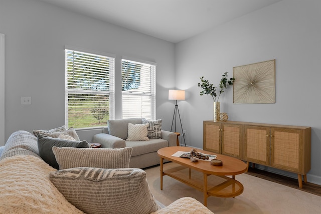 living room featuring light wood-type flooring