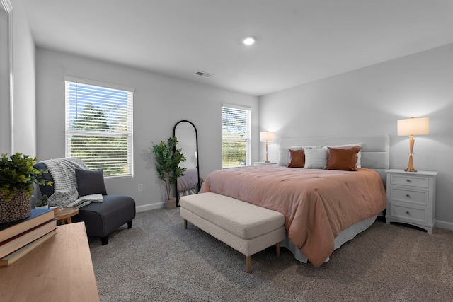 carpeted bedroom with multiple windows