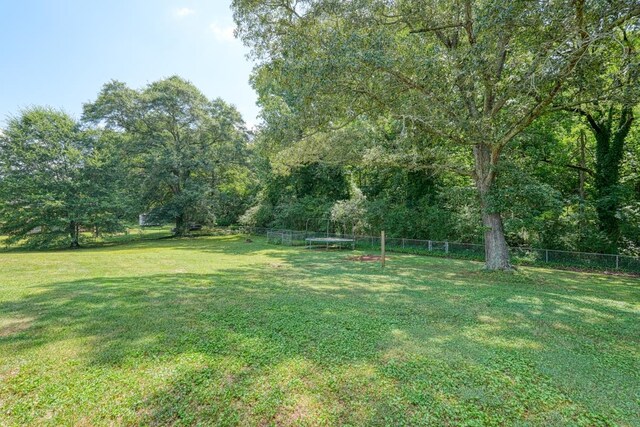 view of yard featuring a trampoline