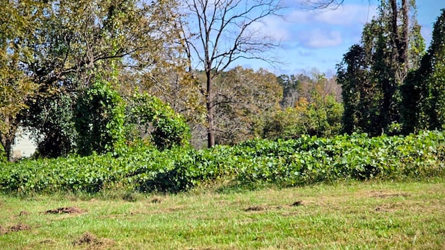 view of landscape