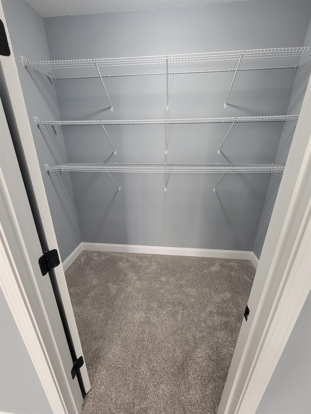 spacious closet with carpet floors