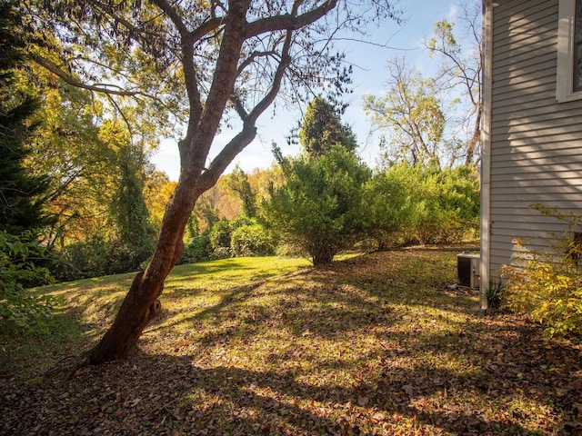 view of yard featuring cooling unit