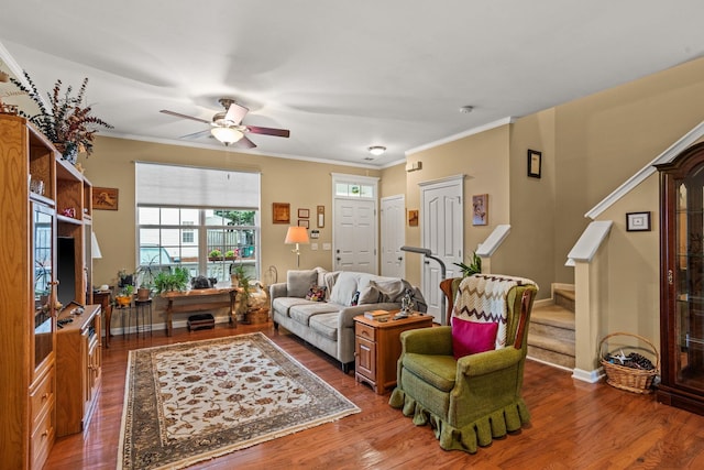 living room with dark hardwood / wood-style floors, ceiling fan, and crown molding