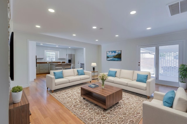 living room with light hardwood / wood-style flooring, a healthy amount of sunlight, and sink