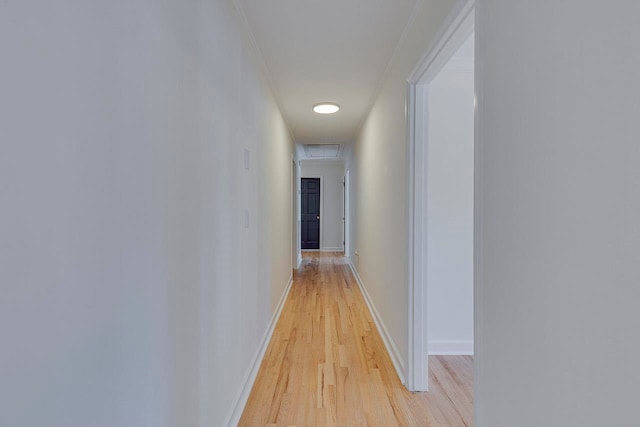 hallway featuring light hardwood / wood-style flooring and ornamental molding