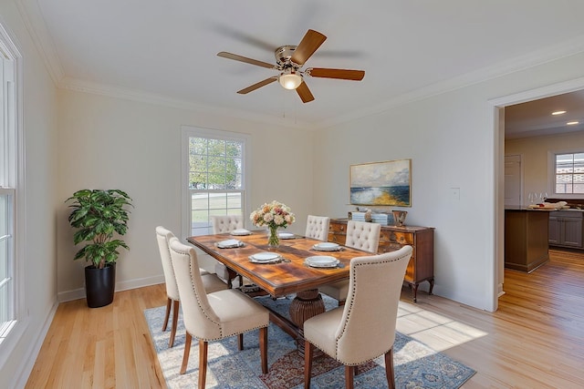 dining space with crown molding, ceiling fan, and light wood-type flooring