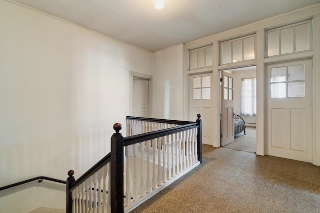 corridor featuring carpet floors