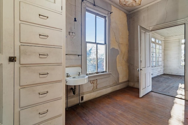 interior space featuring a wealth of natural light, crown molding, and hardwood / wood-style flooring