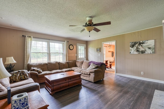 living area featuring ceiling fan, ornamental molding, and dark wood finished floors