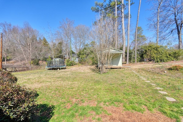 view of yard featuring a storage unit, a trampoline, and an outdoor structure