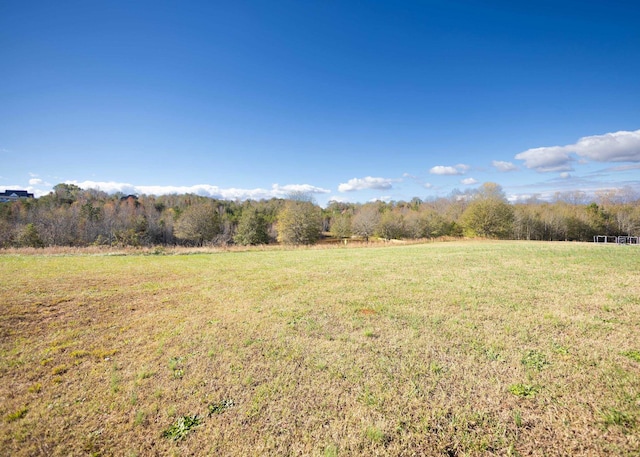 view of yard featuring a rural view