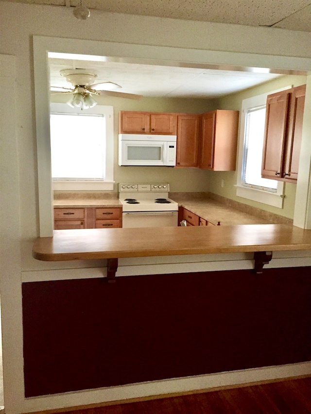 kitchen with wood-type flooring, white appliances, ceiling fan, and a healthy amount of sunlight