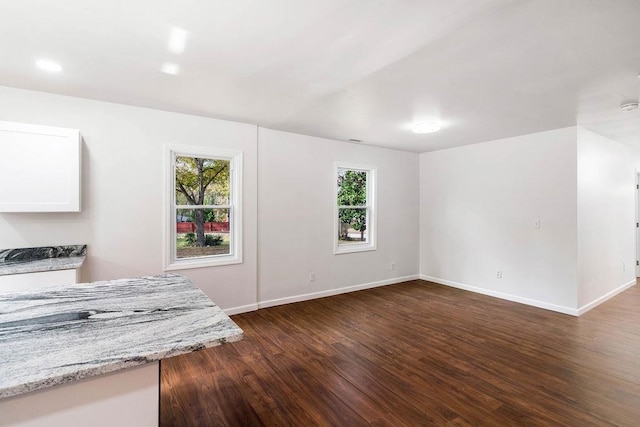 interior space featuring dark hardwood / wood-style floors