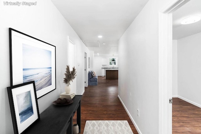 corridor with dark wood-type flooring