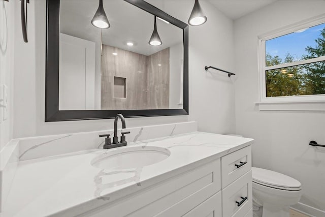 bathroom featuring a shower, vanity, and toilet