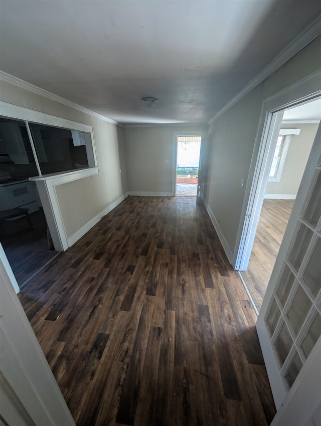 hallway featuring dark hardwood / wood-style floors and ornamental molding