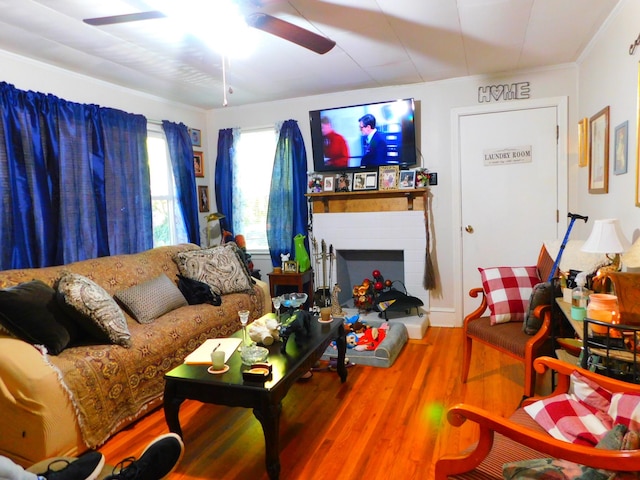 living room with hardwood / wood-style flooring, ceiling fan, and ornamental molding