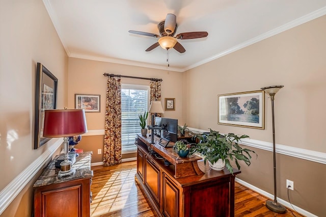 office space with crown molding, light hardwood / wood-style flooring, and ceiling fan