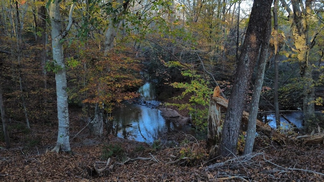 water view