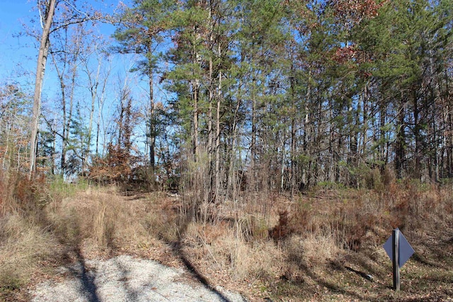 453 River Rdg, Rutherfordton NC, 28139 land for sale