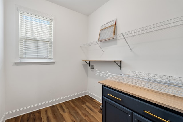 spacious closet featuring dark hardwood / wood-style flooring