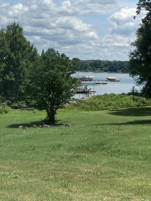 water view featuring a boat dock