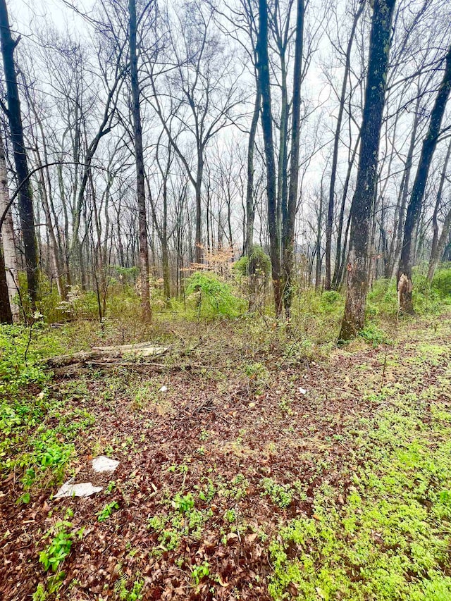 650 Berry Shls, Duncan SC, 29334 land for sale