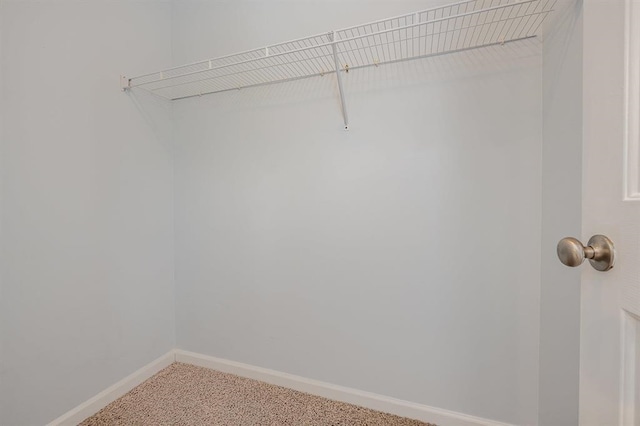 walk in closet featuring carpet floors