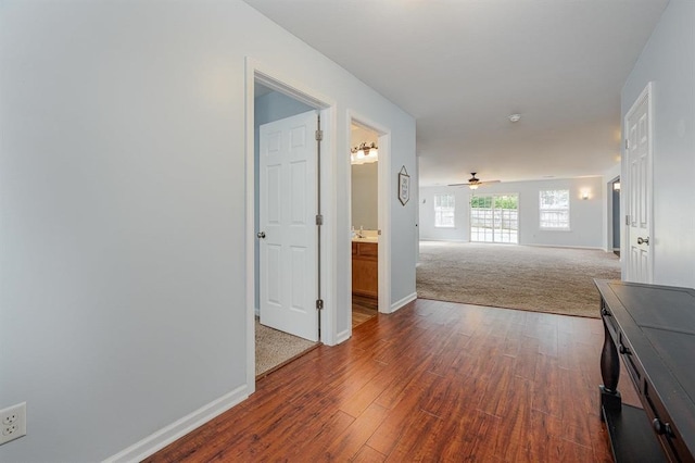 hall with dark hardwood / wood-style floors