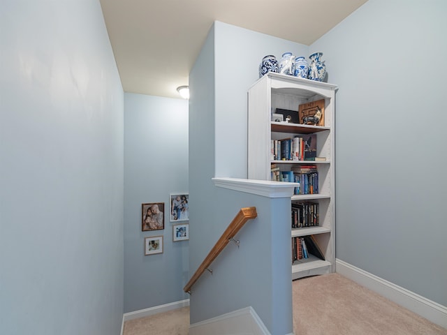 stairway featuring carpet flooring