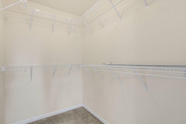 spacious closet with carpet flooring