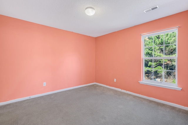 empty room featuring a wealth of natural light, carpet floors, and a textured ceiling