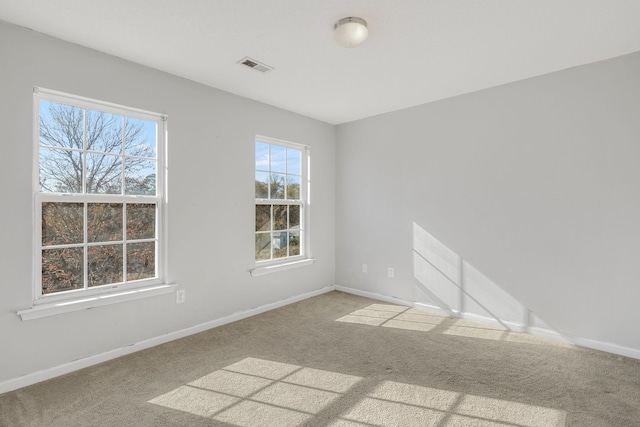 spare room featuring carpet and plenty of natural light