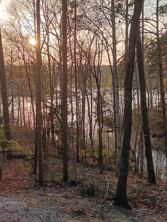 view of nature at dusk