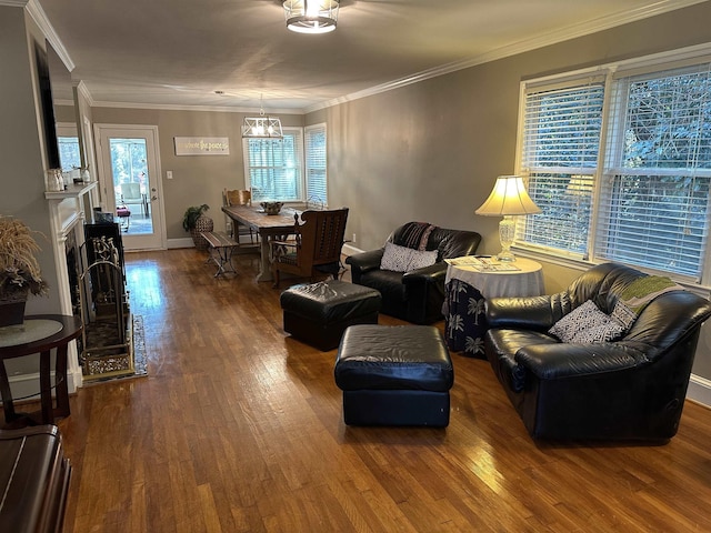 living room with dark hardwood / wood-style floors, an inviting chandelier, and crown molding