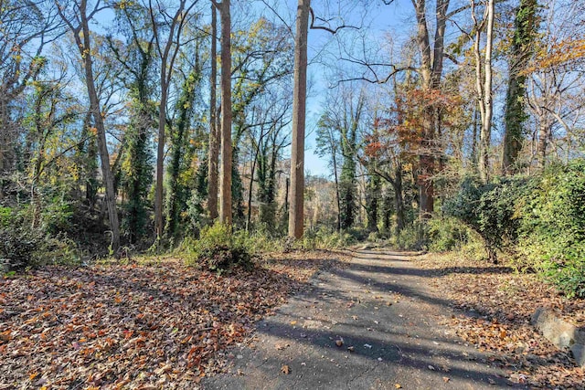 view of street featuring a wooded view