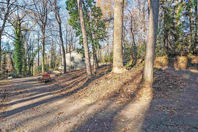 view of street with driveway