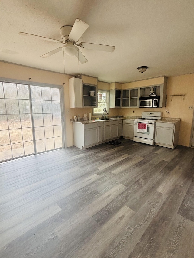 kitchen with sink, hardwood / wood-style floors, ceiling fan, and white gas range oven