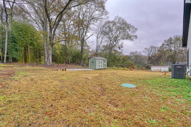 view of yard with cooling unit and a storage unit