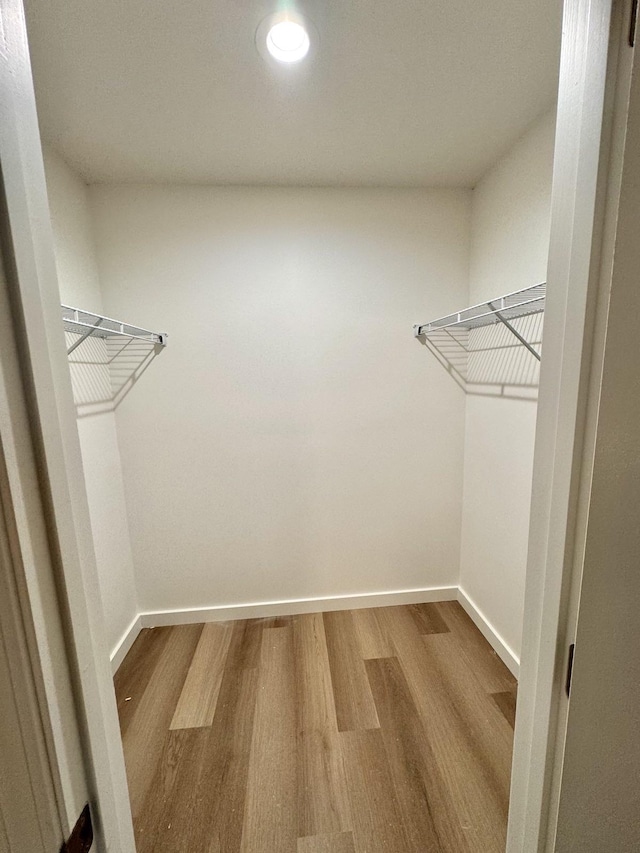 walk in closet with hardwood / wood-style floors