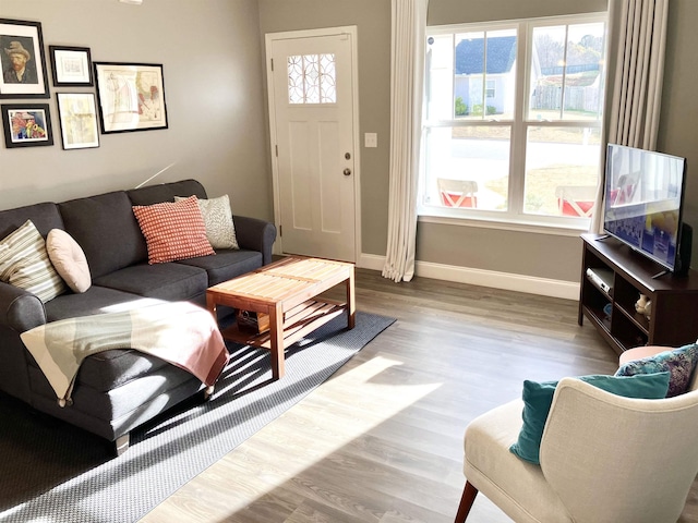 living room with light hardwood / wood-style floors