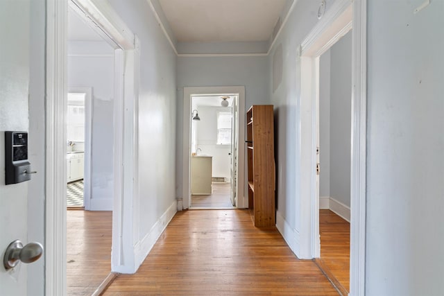 corridor featuring light hardwood / wood-style floors and ornamental molding