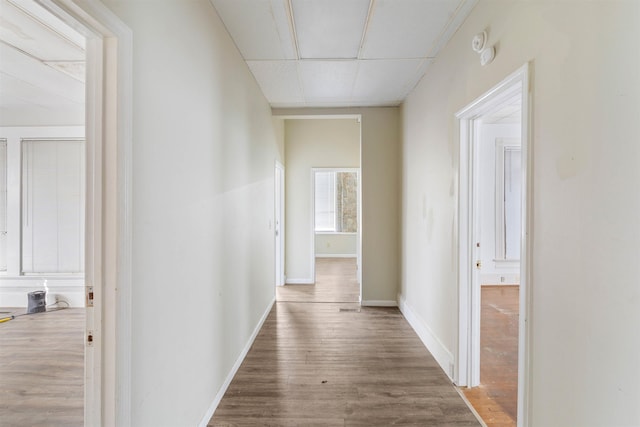 corridor with wood-type flooring